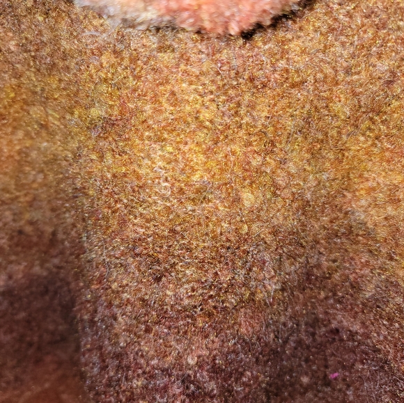 NWT Misses Caslon sz S Soft Cozy Sweater with Hood From Nordstrom - Picture 4 of 9